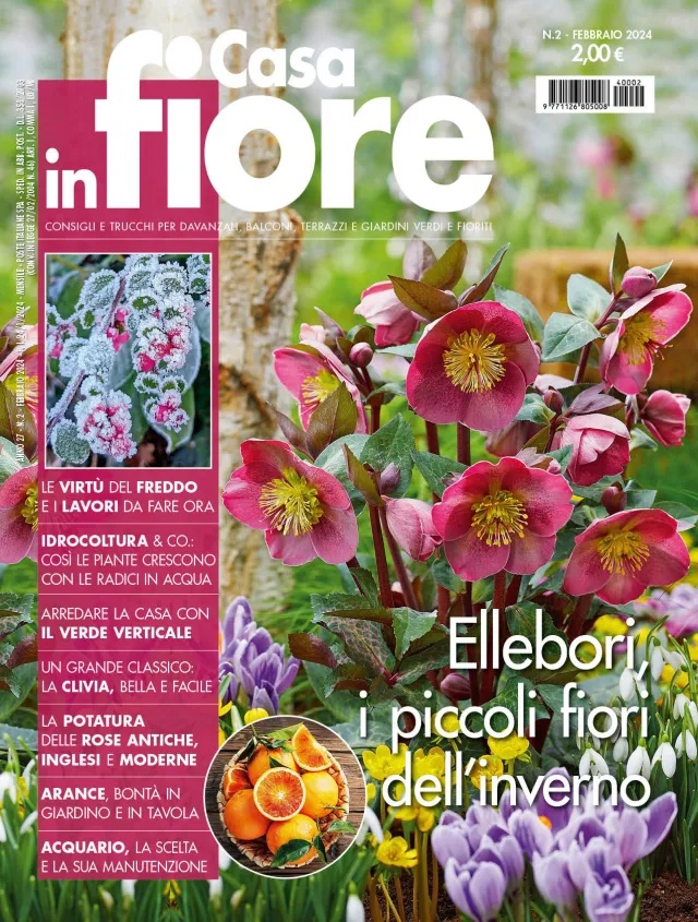 Casa in fiore